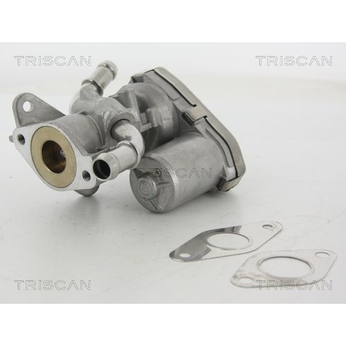 AGR-Ventil TRISCAN 8813 16100 f&uuml;r FORD