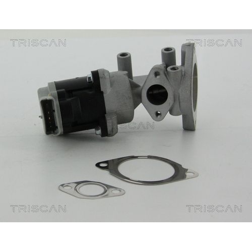 AGR-Ventil TRISCAN 8813 17020 f&uuml;r LAND ROVER, links