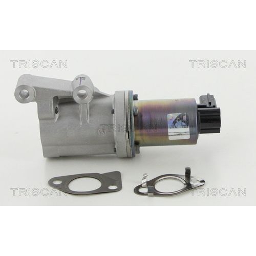 AGR-Ventil TRISCAN 8813 18038 f&uuml;r HYUNDAI KIA