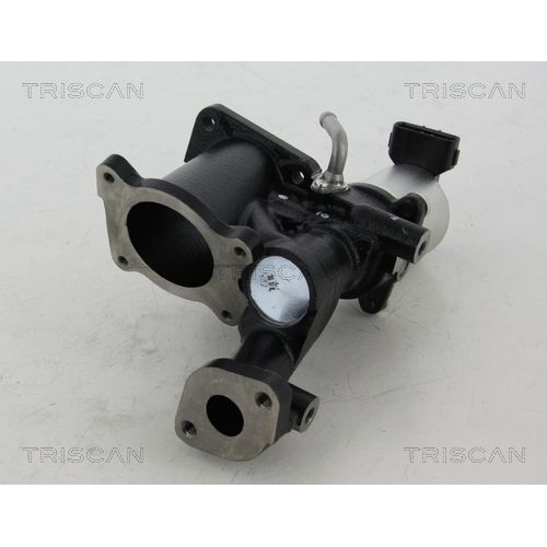 AGR-Ventil TRISCAN 8813 24022 f&uuml;r OPEL VAUXHALL