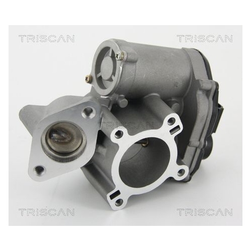 AGR-Ventil TRISCAN 8813 25010 f&uuml;r RENAULT