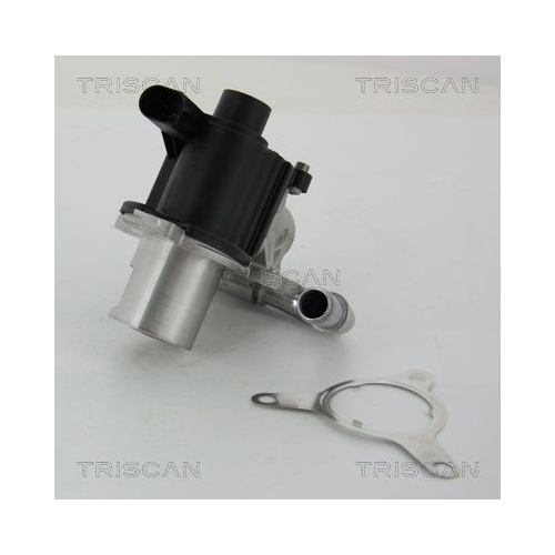 AGR-Ventil TRISCAN 8813 25039 f&uuml;r NISSAN RENAULT DACIA, links, oben, unten