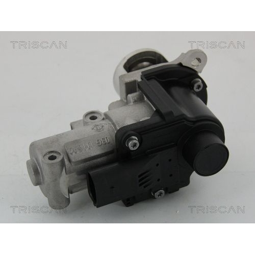 AGR-Ventil TRISCAN 8813 29002 f&uuml;r AUDI SEAT SKODA VW