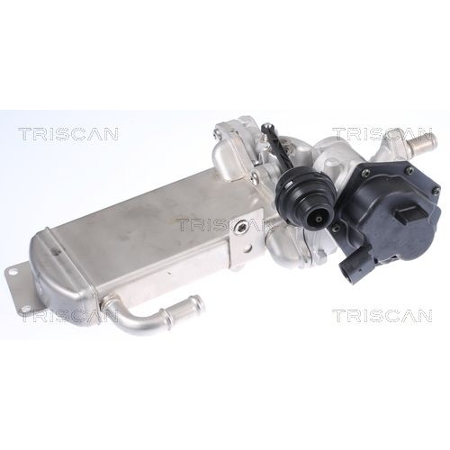 AGR-Ventil TRISCAN 8813 29306 f&uuml;r AUDI SEAT VW
