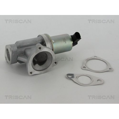 AGR-Ventil TRISCAN 8813 43002 f&uuml;r HYUNDAI KIA