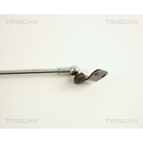 Gasfeder, Koffer-/Laderaum TRISCAN 8710 40206 f&uuml;r HONDA, links