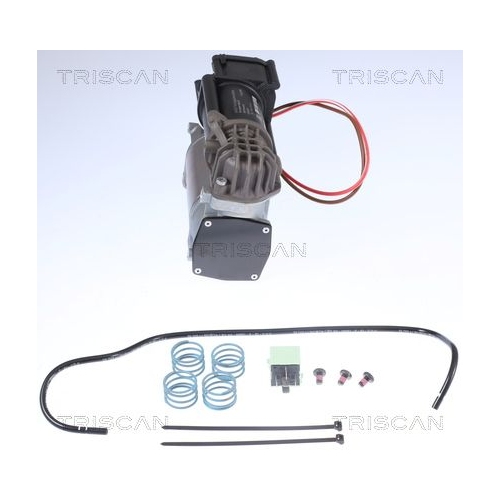 Kompressor, Druckluftanlage TRISCAN 8725 11101 f&uuml;r BMW