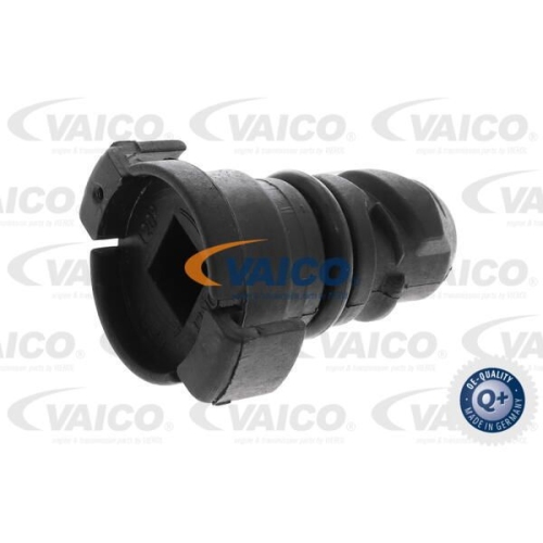 Verschlussschraube, &Ouml;lwanne VAICO V25-1293 EXPERT KITS + f&uuml;r FORD, motorseitig