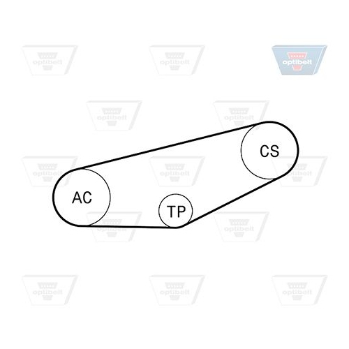 Keilrippenriemensatz OPTIBELT 4 PK 855KT1 Optibelt-RBK KIT f&uuml;r