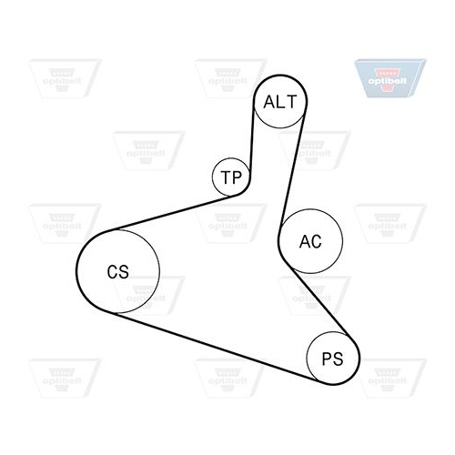Keilrippenriemensatz OPTIBELT 6 DPK 1195KT1 Optibelt-RBK KIT f&uuml;r