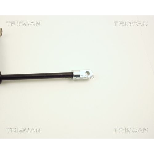 Gasfeder, Motorhaube TRISCAN 8710 2001 f&uuml;r PORSCHE, Kofferraum