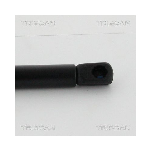 Gasfeder, Koffer-/Laderaum TRISCAN 8710 13287 f&uuml;r TOYOTA, rechts