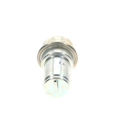 Druckspeicher, Kraftstoffdruck BOSCH 0 438 170 004 f&uuml;r MERCEDES-BENZ FERRARI