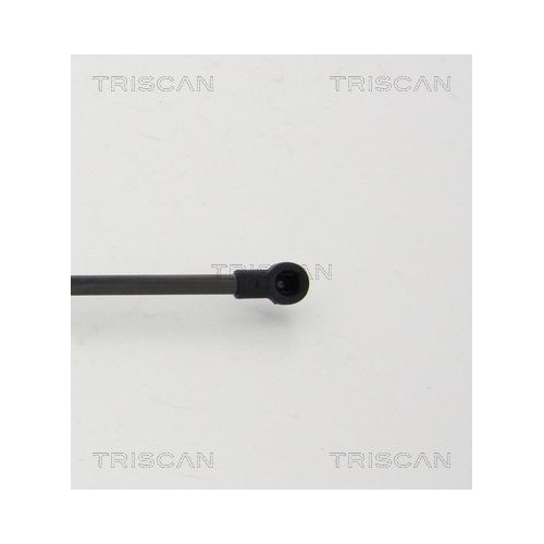 Gasfeder, Koffer-/Laderaum TRISCAN 8710 24254 f&uuml;r CHEVROLET