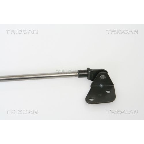 Gasfeder, Koffer-/Laderaum TRISCAN 8710 69215 f&uuml;r SUBARU SUZUKI, rechts