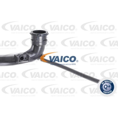 Ladeluftschlauch VAICO V46-0742 Q+, Erstausr&uuml;sterqualit&auml;t f&uuml;r RENAULT
