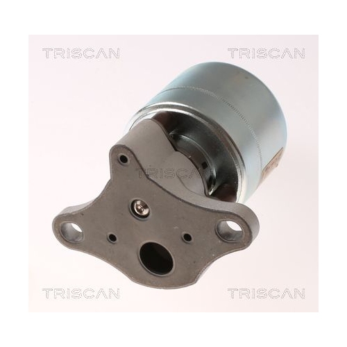 AGR-Ventil TRISCAN 8813 21026 f&uuml;r CHEVROLET DAEWOO