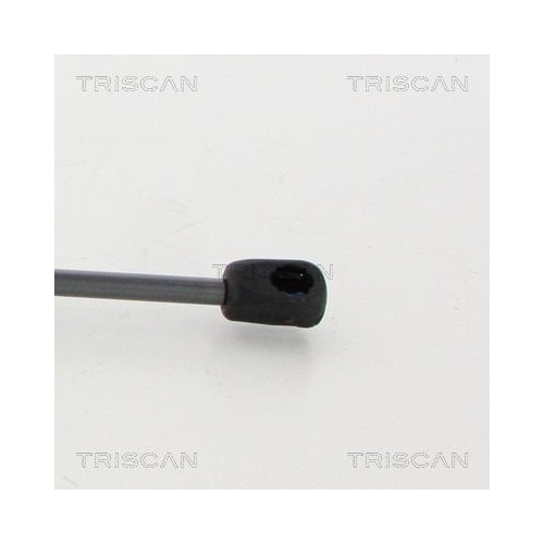 Gasfeder, Koffer-/Laderaum TRISCAN 8710 23246 f&uuml;r MERCEDES-BENZ, links, rechts
