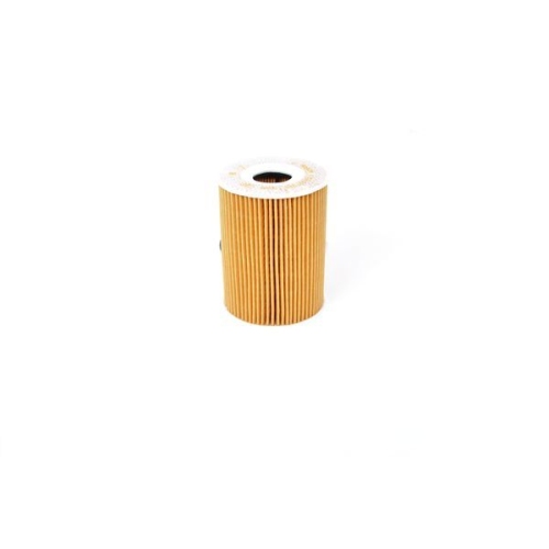 &Ouml;lfilter BOSCH F 026 407 255 f&uuml;r BMW