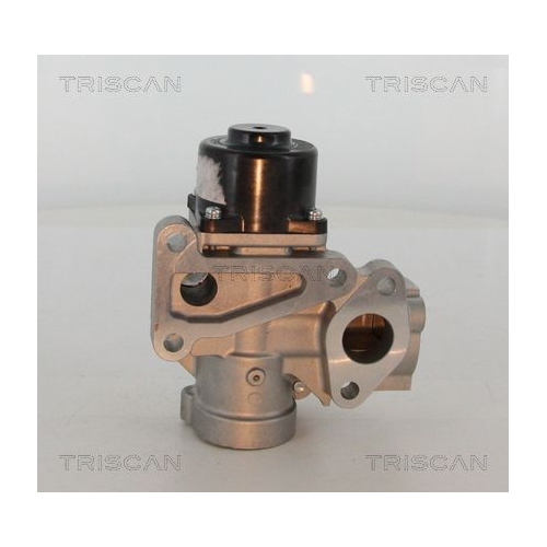 AGR-Ventil TRISCAN 8813 16203 f&uuml;r FORD