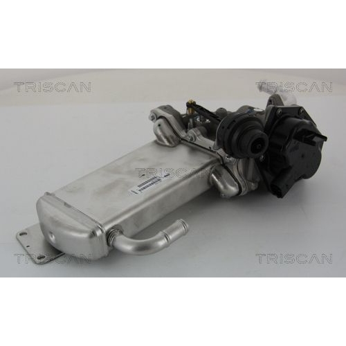 AGR-Ventil TRISCAN 8813 29303 f&uuml;r AUDI VW