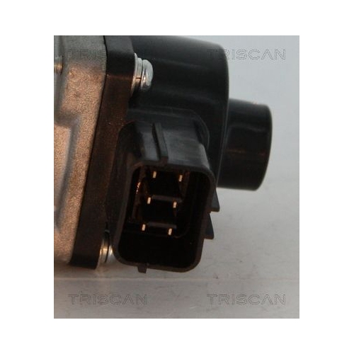 AGR-Ventil TRISCAN 8813 10014 f&uuml;r FORD MAZDA VOLVO