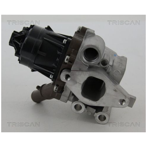 AGR-Ventil TRISCAN 8813 15207 f&uuml;r FIAT IVECO