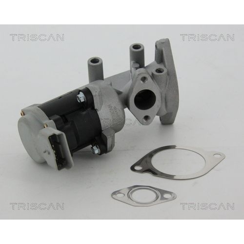 AGR-Ventil TRISCAN 8813 17020 f&uuml;r LAND ROVER, links