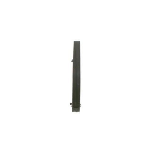 Keilrippenriemen BOSCH 1 987 946 200 f&uuml;r AUDI FORD SEAT SKODA VW