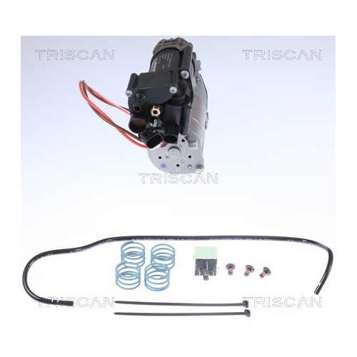 Kompressor, Druckluftanlage TRISCAN 8725 11101 f&uuml;r BMW