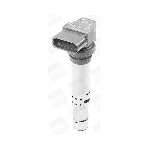 Z&uuml;ndspule BorgWarner (BERU) ZSE030 f&uuml;r VAG