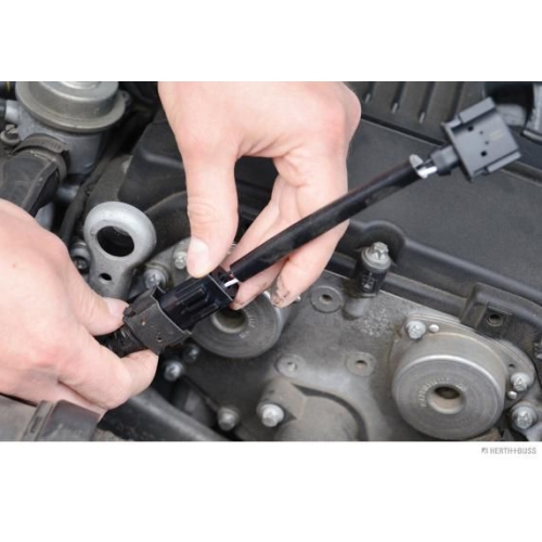 Anschlussleitung, Stellmagnet-Nockenwellenverstellung HERTH+BUSS ELPARTS
